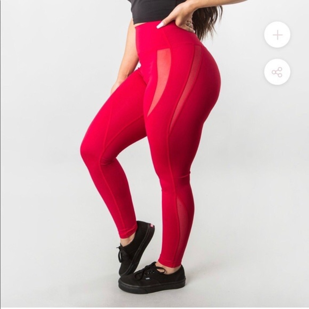 Buffbunny Queen B Leggings with Mesh Detail